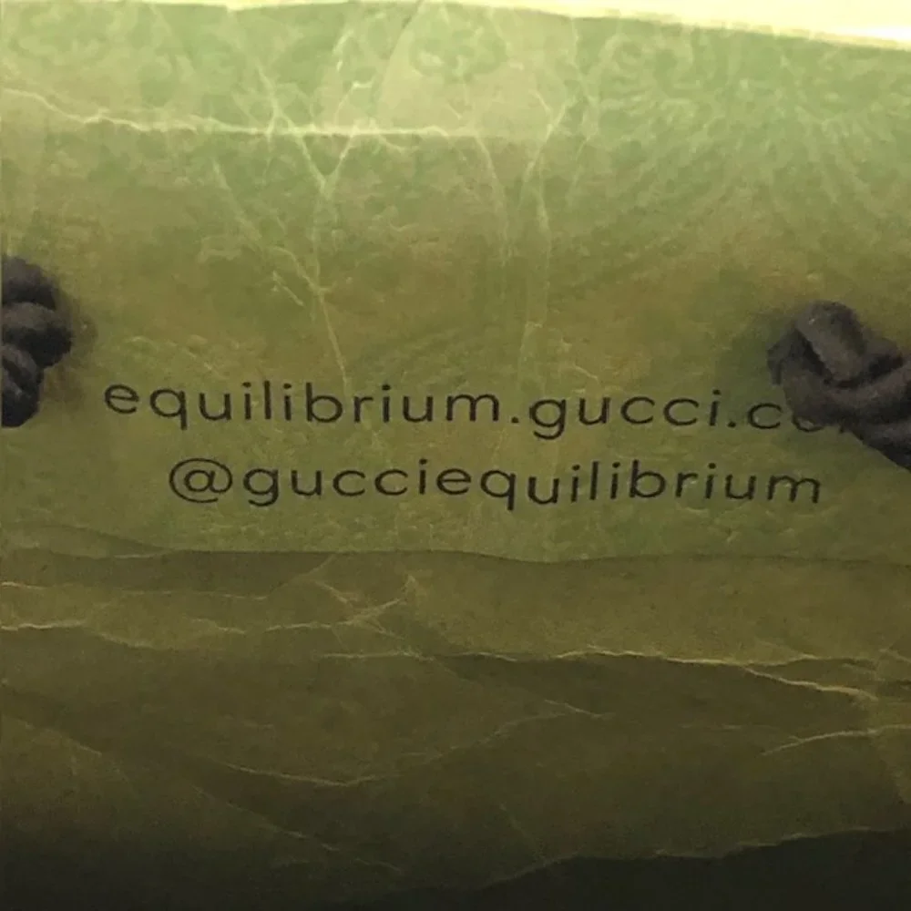 GUCCI Gift Present Set - Textured Green Logo Magnetic Box, Dust Bag & Gi…